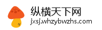 纵横天下网